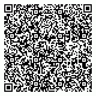 vCard 79131000279