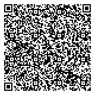 vCard 79131000539