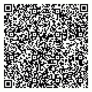 vCard 79131000739