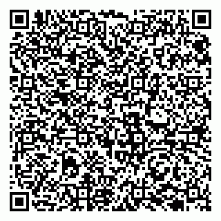 vCard 79131000743