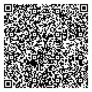 vCard 79131000839