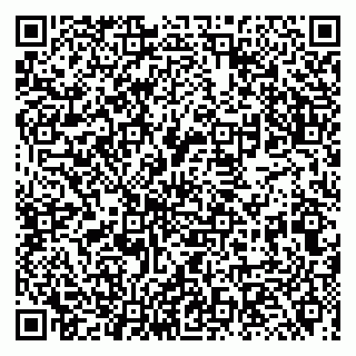 vCard 79131000939