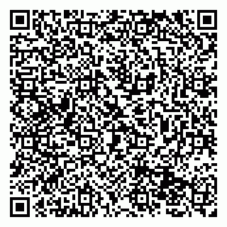 vCard 79131001038