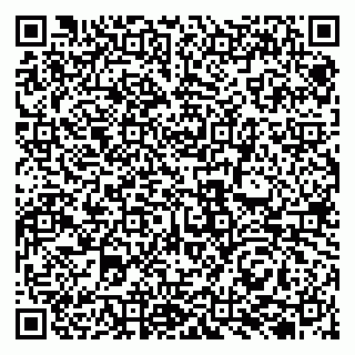vCard 79131001054