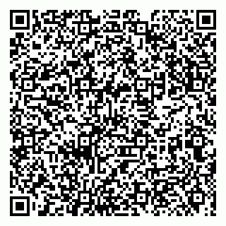 vCard 79131001073