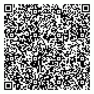 vCard 79131001800