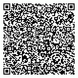 vCard 79131001839