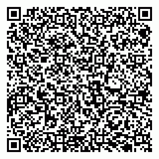 vCard 79131001873