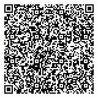vCard 79131002752