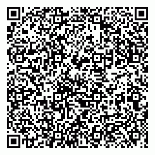 vCard 79131003039