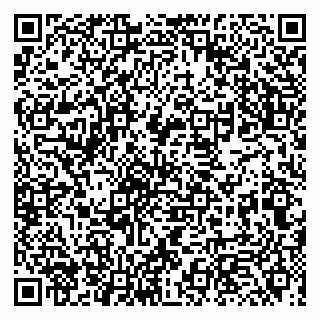 vCard 79131003339