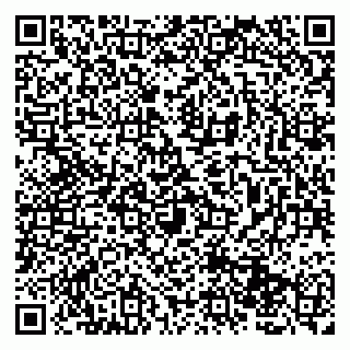 vCard 79131003739