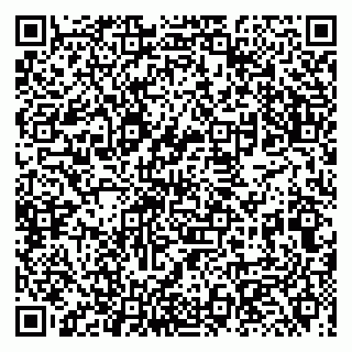 vCard 79131004039