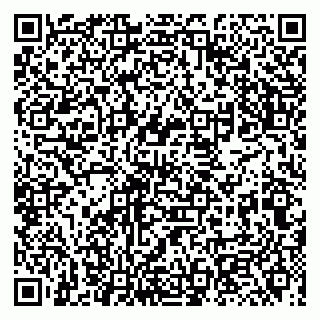vCard 79131004739