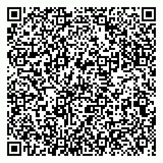 vCard 79131005039
