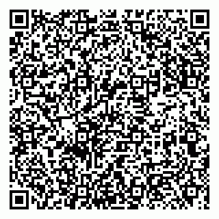 vCard 79131005163