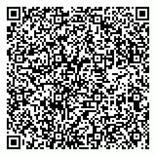 vCard 79131006073