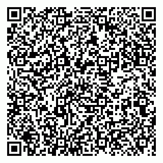 vCard 79131006081