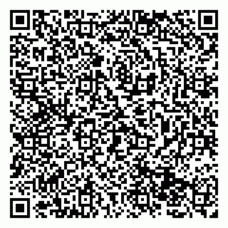 vCard 79131007039