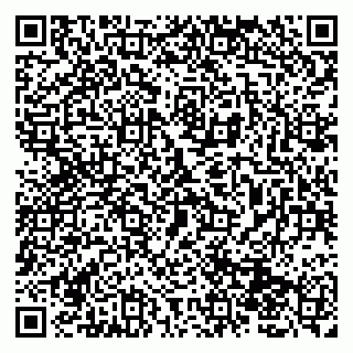 vCard 79131008039