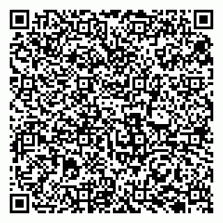 vCard 79131008739