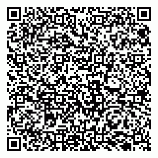 vCard 79131009500