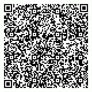 vCard 79131010039