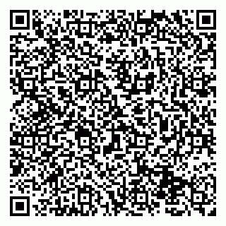 vCard 79131010300