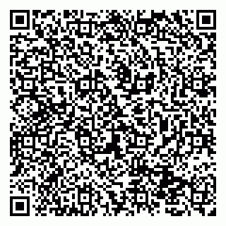 vCard 79131010539