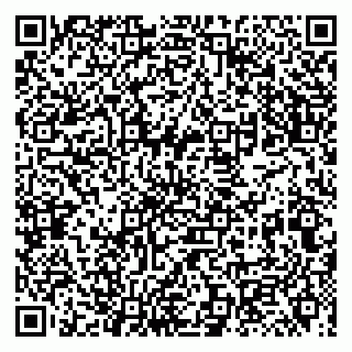 vCard 79131010739