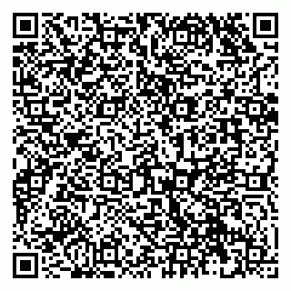 vCard 79131011800