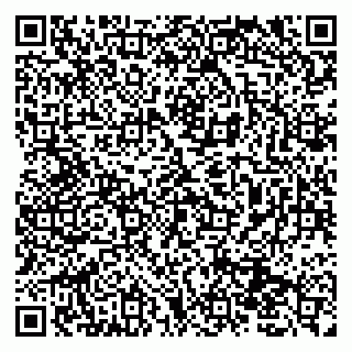 vCard 79131011873