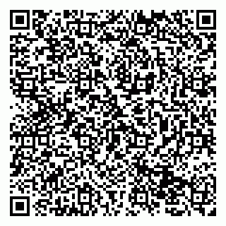 vCard 79131013039