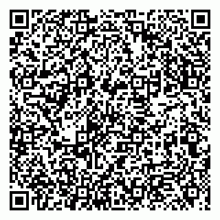 vCard 79131013339