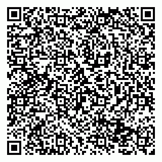 vCard 79131013539