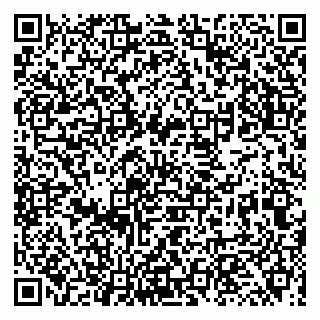 vCard 79131013800
