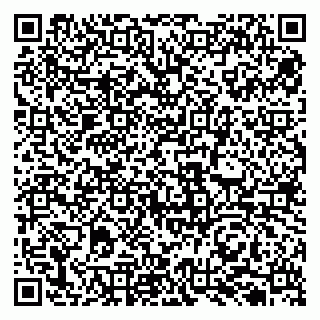 vCard 79131013939