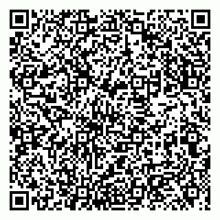 vCard 79131015039