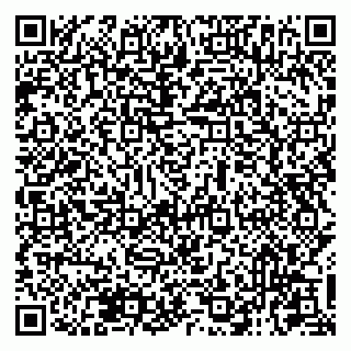 vCard 79131017039