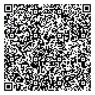 vCard 79131017439