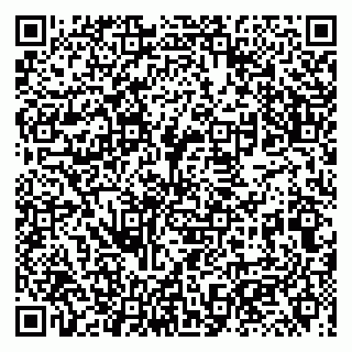 vCard 79131017539