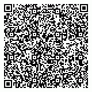 vCard 79131018039