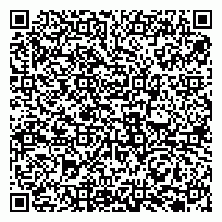 vCard 79131020039