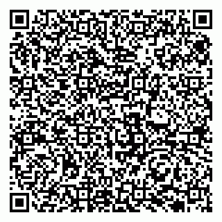 vCard 79131020175