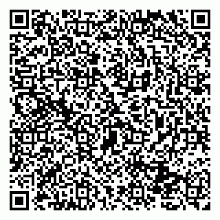 vCard 79131020539