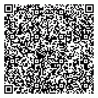 vCard 79131020625