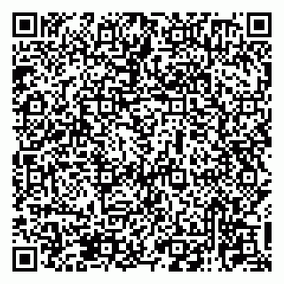 vCard 79131020739