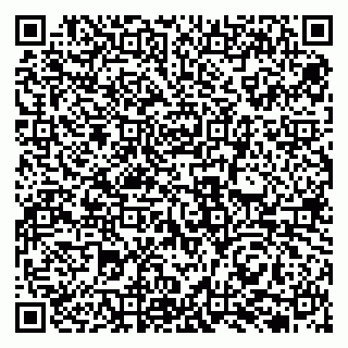 vCard 79131021039