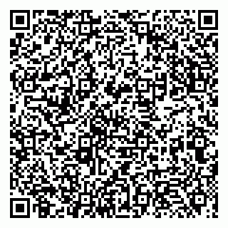 vCard 79131021339