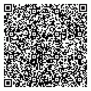 vCard 79131021873